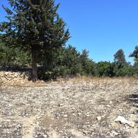 Land plot in Greece, Crete