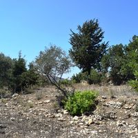 Land plot in Greece, Crete