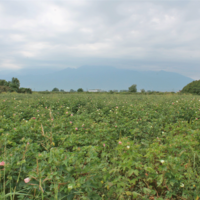 Land plot in Greece, Central Macedonia, Center