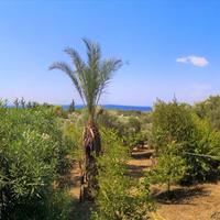 Flat in Greece, Central Macedonia, Center, 40 sq.m.