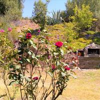 Flat in Greece, Central Macedonia, Center, 40 sq.m.