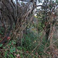 Другое в Греции, Ионические острова, 75 кв.м.