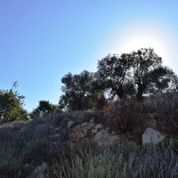 Land plot in Greece, Crete, Chania