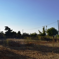Land plot in Greece, Crete, Chania