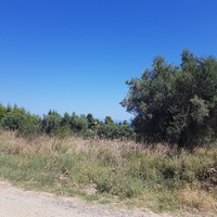 Земельный участок в Греции, Центральная Македония, Центр