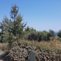 Земельный участок в Греции, Центральная Македония, Центр