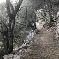 Земельный участок в Греции, Ионические острова