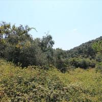 Land plot in Greece, Ionian Islands