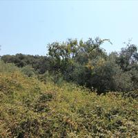 Land plot in Greece, Ionian Islands