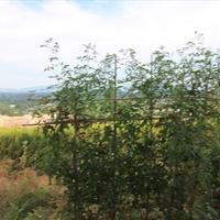 Flat in Greece, Ionian Islands, 86 sq.m.