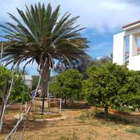 Вилла на Кипре, Лима, 470 кв.м.