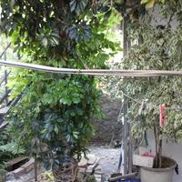 Other in Greece, Crete, Chania, 120 sq.m.