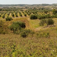 Land plot in Greece, Central Macedonia, Center