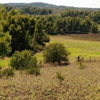 Land plot in Greece, Central Macedonia, Center