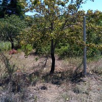 Land plot in Greece, Central Macedonia, Center