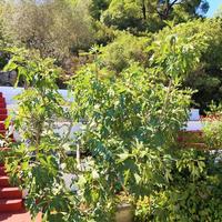 Другое в Греции, Центральная Македония, Центр, 92 кв.м.