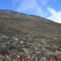 Land plot in Greece, Crete, Chania