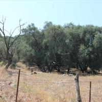 Земельный участок в Греции, Ионические острова