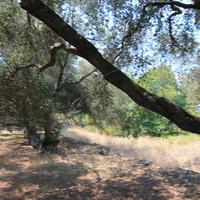 Земельный участок в Греции, Ионические острова