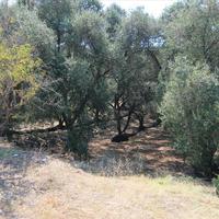 Земельный участок в Греции, Ионические острова