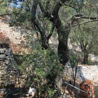 Other in Greece, Ionian Islands, 70 sq.m.