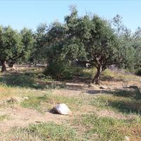 Земельный участок в Греции, Крит, Ханья