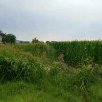 Land plot in Greece, Central Macedonia, Center