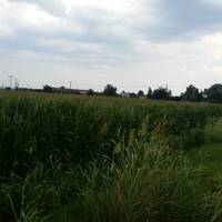 Land plot in Greece, Central Macedonia, Center