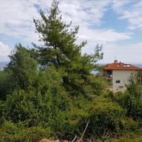 Земельный участок в Греции, Центральная Македония, Центр