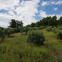 Земельный участок в Греции, Центральная Македония, Центр