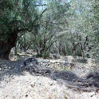 Land plot in Greece, Ionian Islands