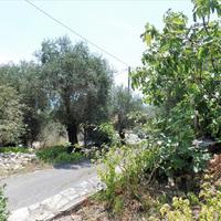 Other in Greece, Ionian Islands, 220 sq.m.