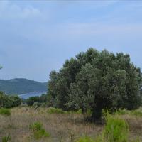 Земельный участок в Греции, Центральная Македония, Центр