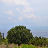 Земельный участок в Греции, Центральная Македония, Центр