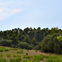 Земельный участок в Греции, Центральная Македония, Центр