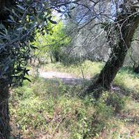 Land plot in Greece, Ionian Islands