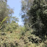 Land plot in Greece, Ionian Islands