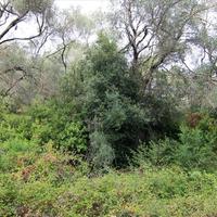 Land plot in Greece, Ionian Islands