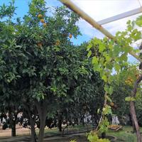 Other in Greece, Central Macedonia, Center, 167 sq.m.