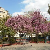 Flat in Greece, Attica, Athens, 83 sq.m.