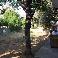 Другое в Греции, Крит, Ханья, 120 кв.м.