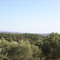 Land plot in Greece, Crete, Chania