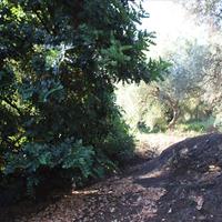 Land plot in Greece, Crete, Chania