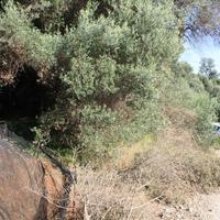 Land plot in Greece, Crete, Chania