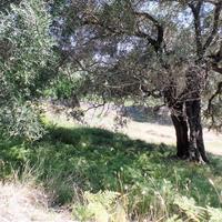 Land plot in Greece, Ionian Islands