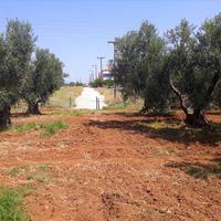 Land plot in Greece, Central Macedonia, Khal