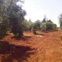 Land plot in Greece, Central Macedonia, Khal