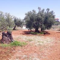 Land plot in Greece, Central Macedonia, Khal