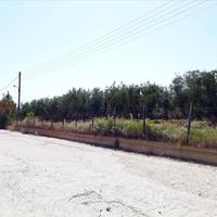 Land plot in Greece, Central Macedonia, Khal