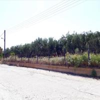 Land plot in Greece, Central Macedonia, Khal